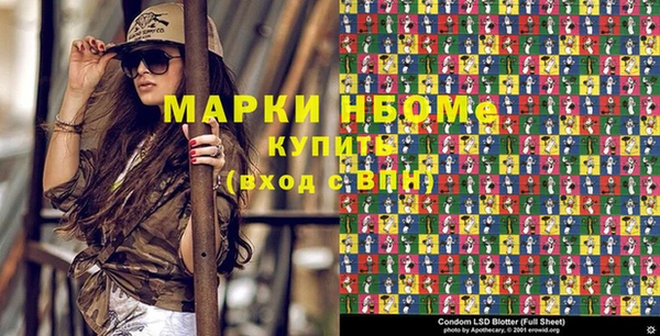 гидра Елизово