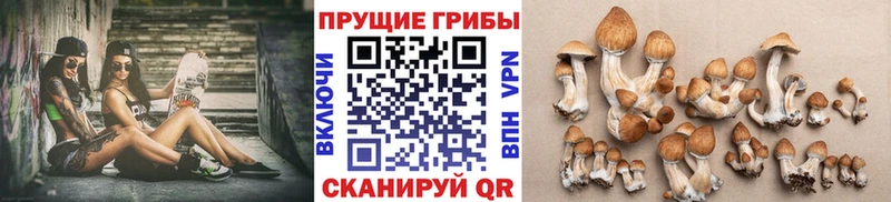 Псилоцибиновые грибы ЛСД  Бабаево 